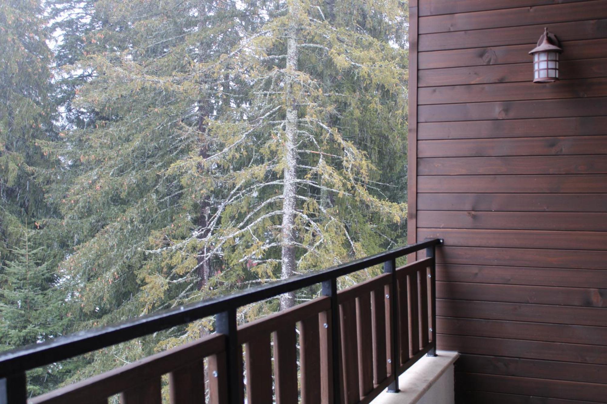 Mountain Studio Asp E63 Borovets Gardens Buitenkant foto