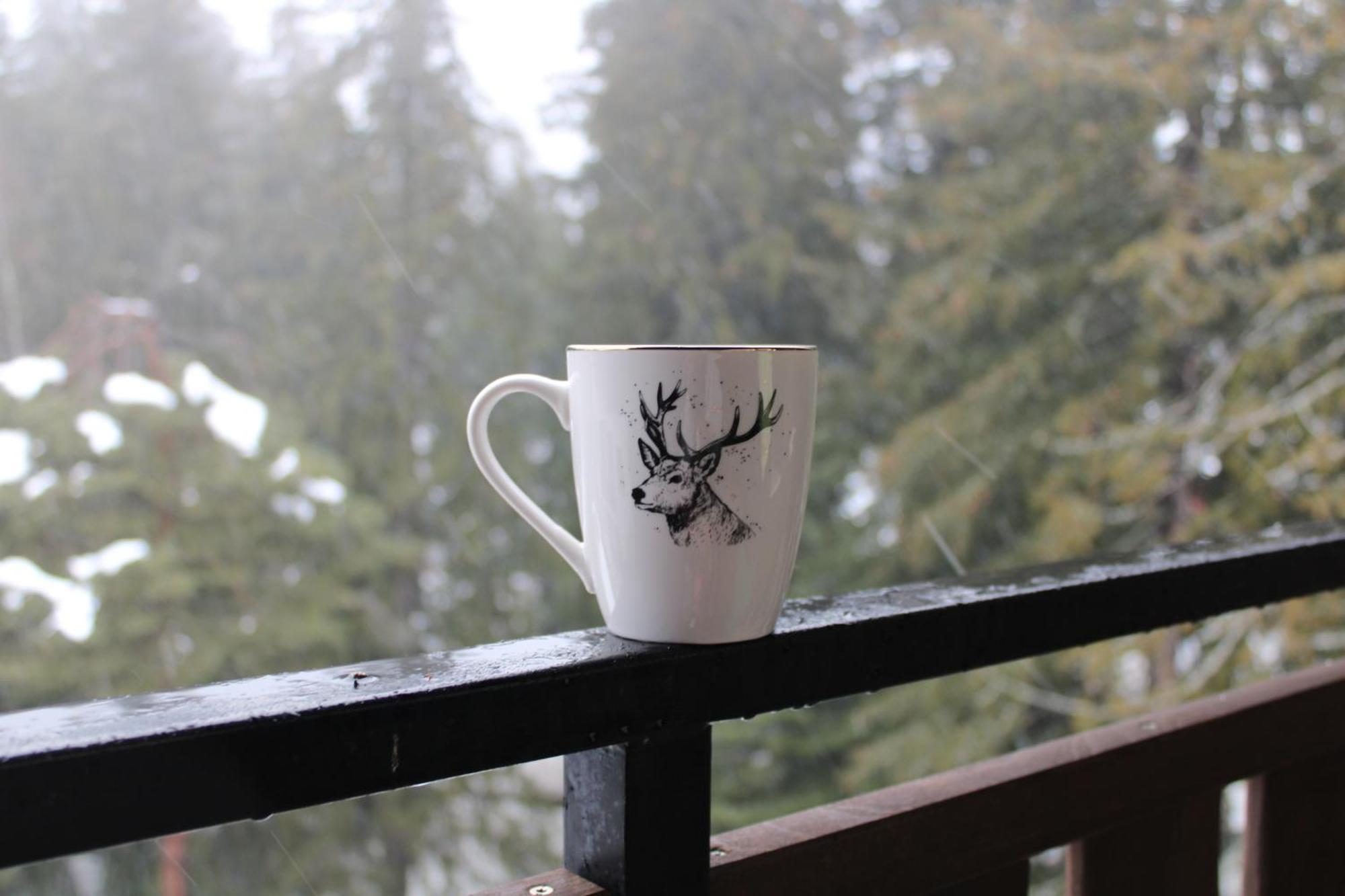Mountain Studio Asp E63 Borovets Gardens Buitenkant foto