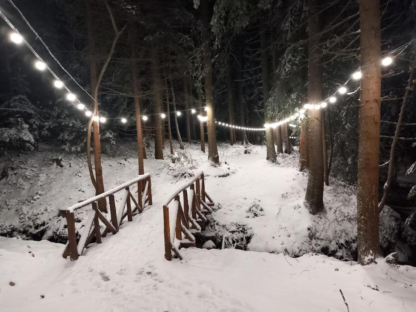 Mountain Studio Asp E63 Borovets Gardens Buitenkant foto