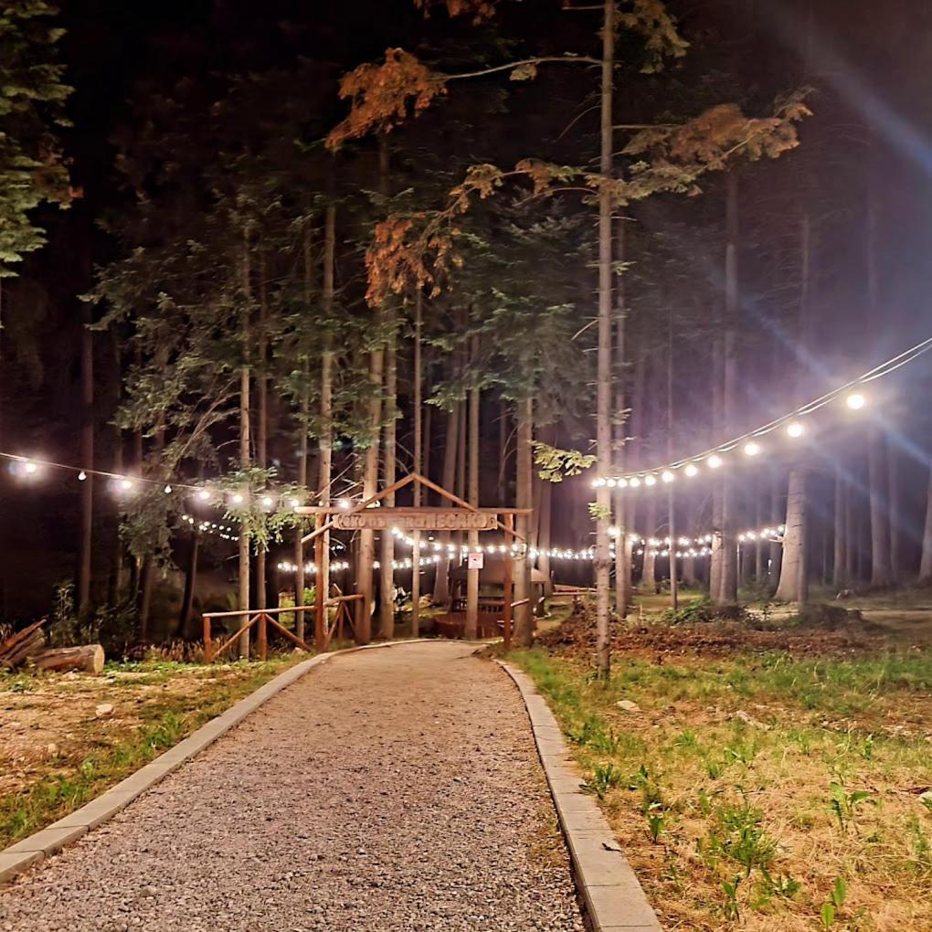 Mountain Studio Asp E63 Borovets Gardens Buitenkant foto